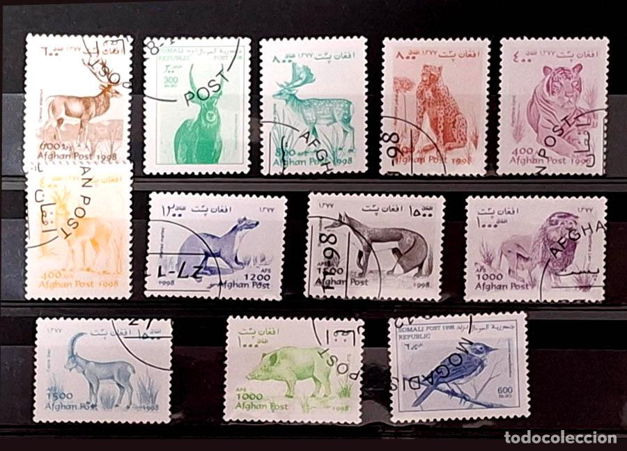 Selos: 12 sellos de Afganist&aacute;n - Fauna