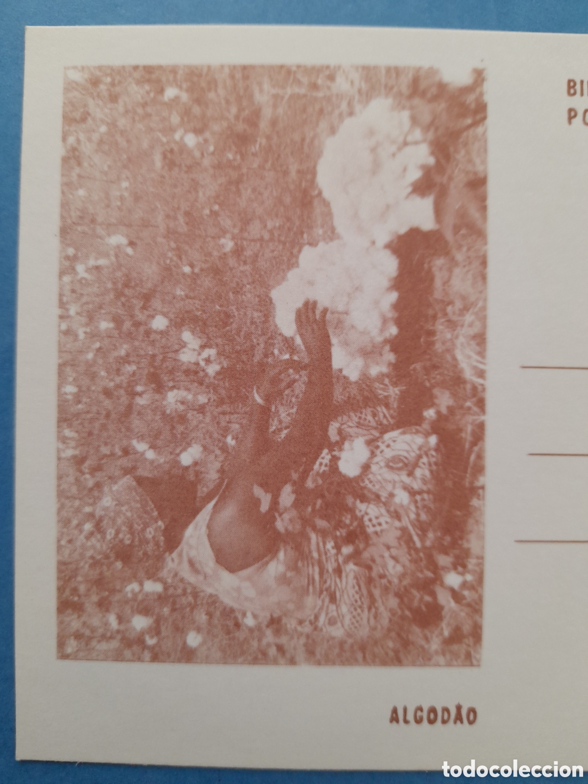 Sellos: Enteropostal Angola. Algod&oacute;n - Foto 3