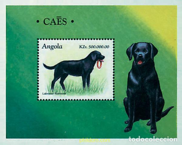 Sellos: 71914 MNH ANGOLA 1998 PERROS DE RAZA