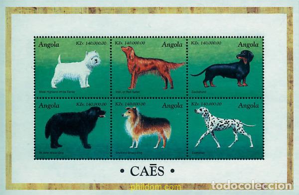 Sellos: 272171 MNH ANGOLA 1998 PERROS DE RAZA