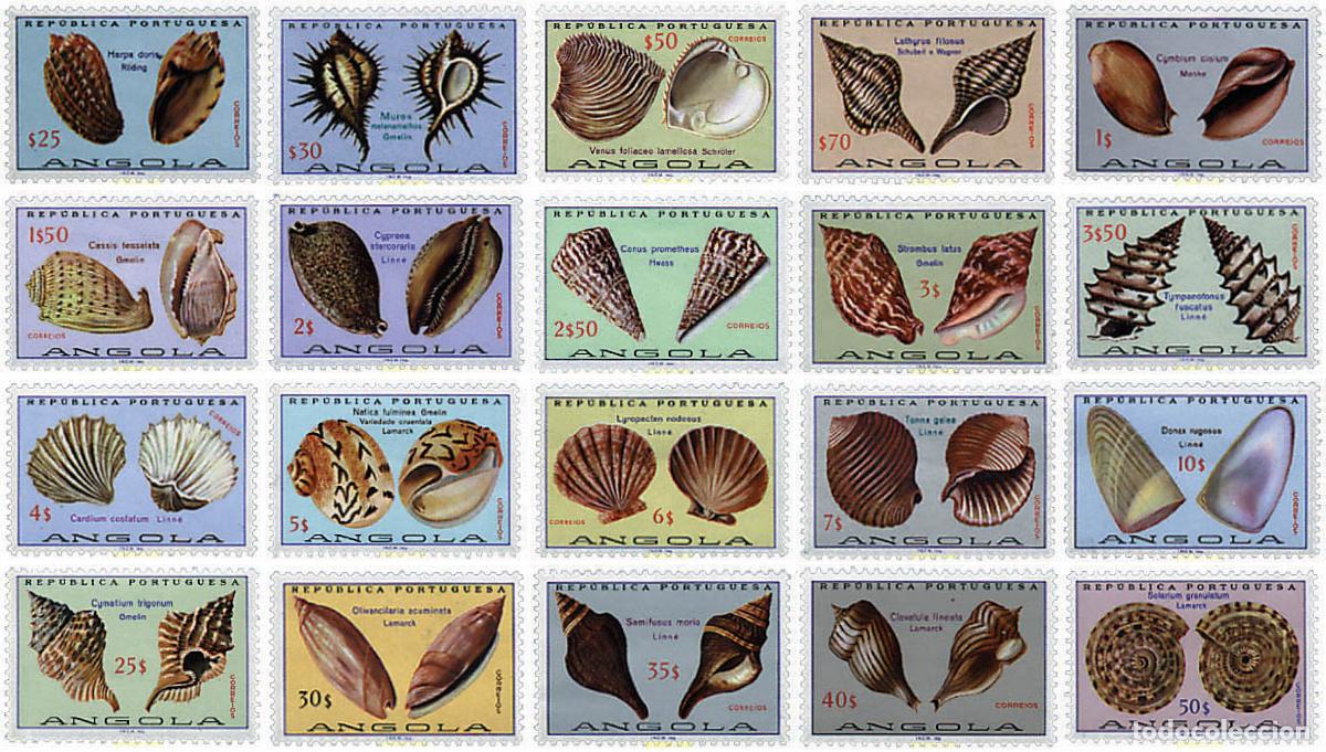 Sellos: 72534 MNH ANGOLA 1974 CONCHAS