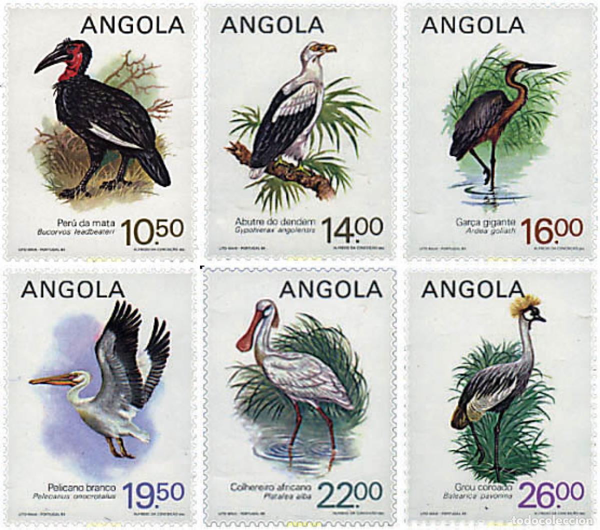 Sellos: 72555 MNH ANGOLA 1984 AVES