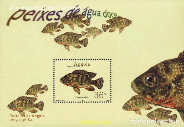 Selos: 82976 MNH ANGOLA 2001 PECES DE AGUA DULCE