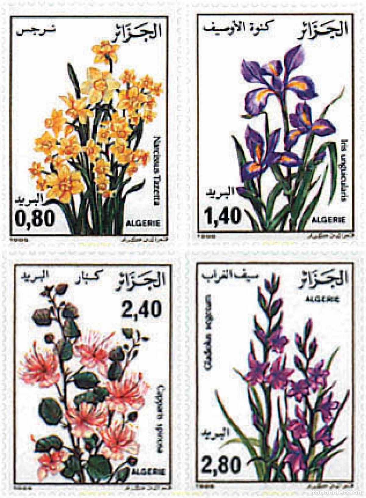 Sellos: 95144 MNH ARGELIA 1986 FLORA ARGELINA