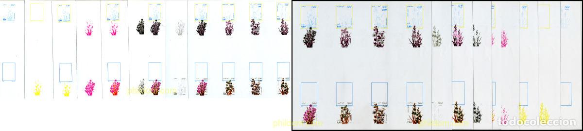 Sellos: 202095 MNH ARGELIA 1986 FLORA ARGELINA