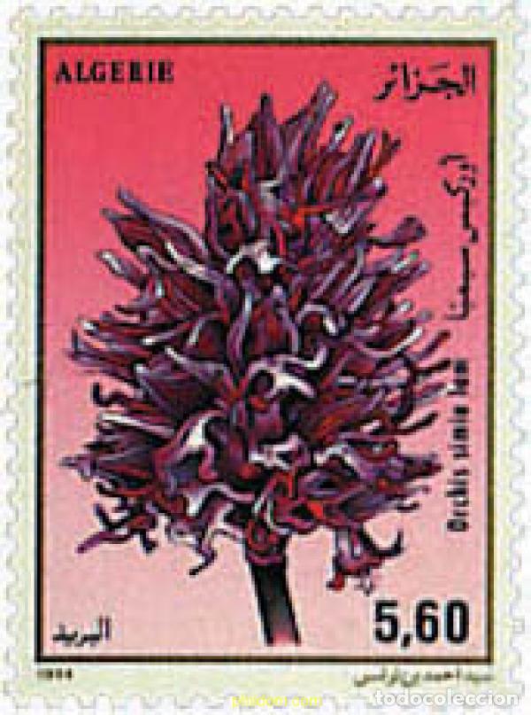 Sellos: 611881 MNH ARGELIA 1994 ORQUIDEAS
