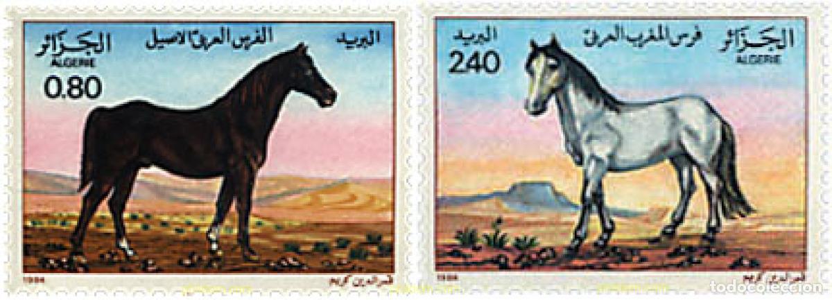 Sellos: 29281 MNH ARGELIA 1984 CABALLOS