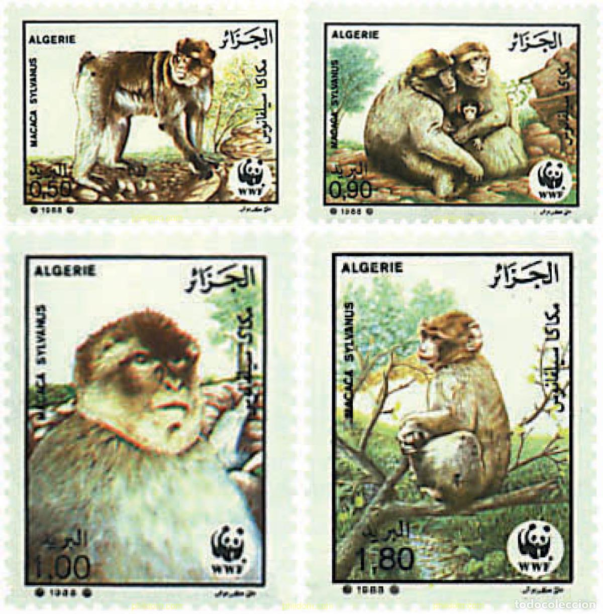 Sellos: 74289 MNH ARGELIA 1988 MACACO DE GIBRALTAR