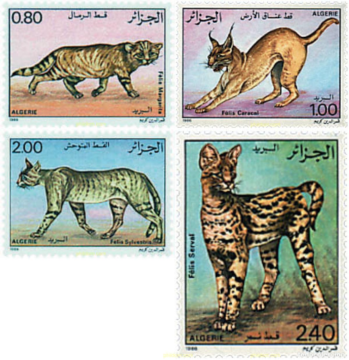 Sellos: 37924 MNH ARGELIA 1986 GATOS SALVAJES