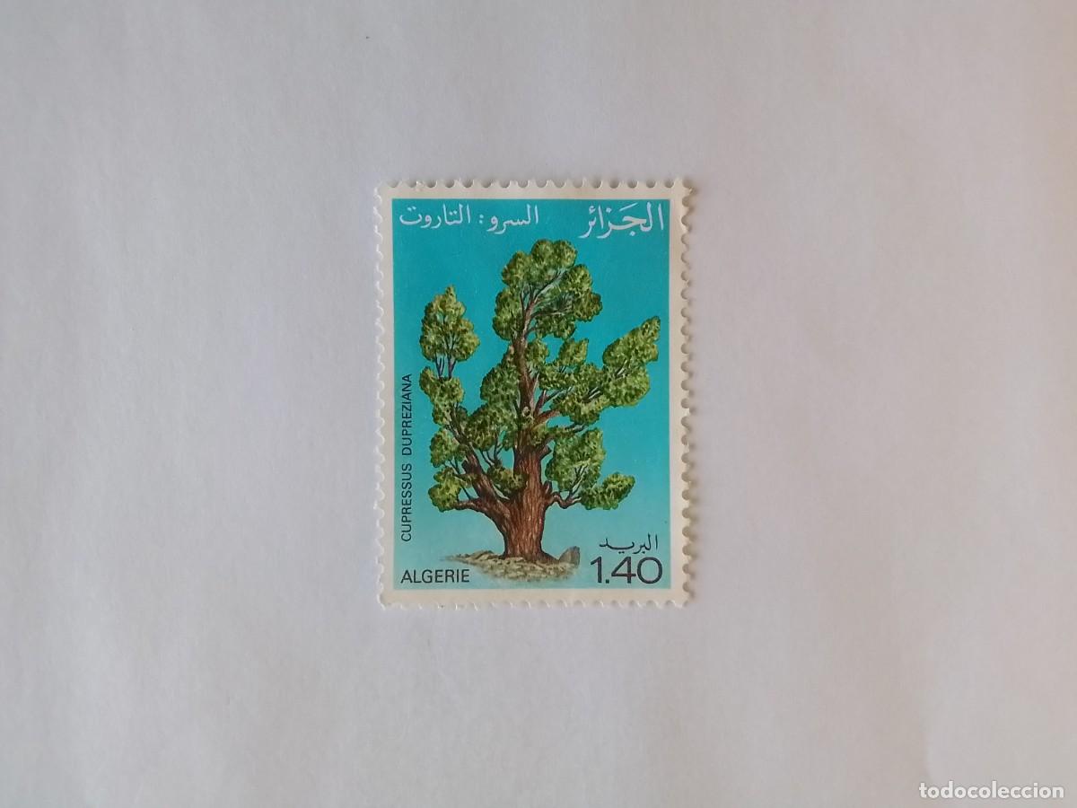 Sellos: A&Ntilde;O 1981 ARGELIA SELLO USADO