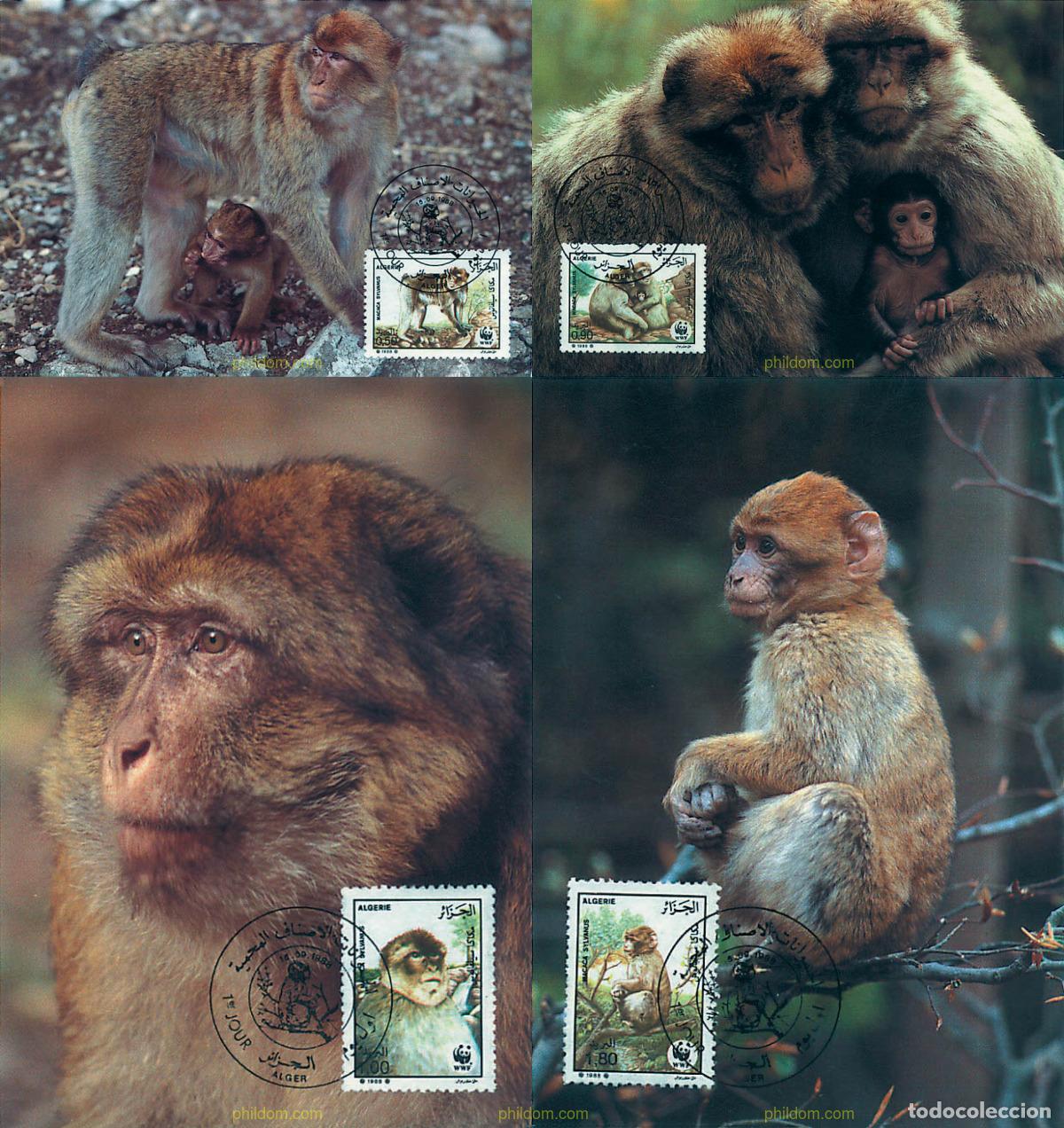 Sellos: 7516 MNH ARGELIA 1988 MACACO DE GIBRALTAR