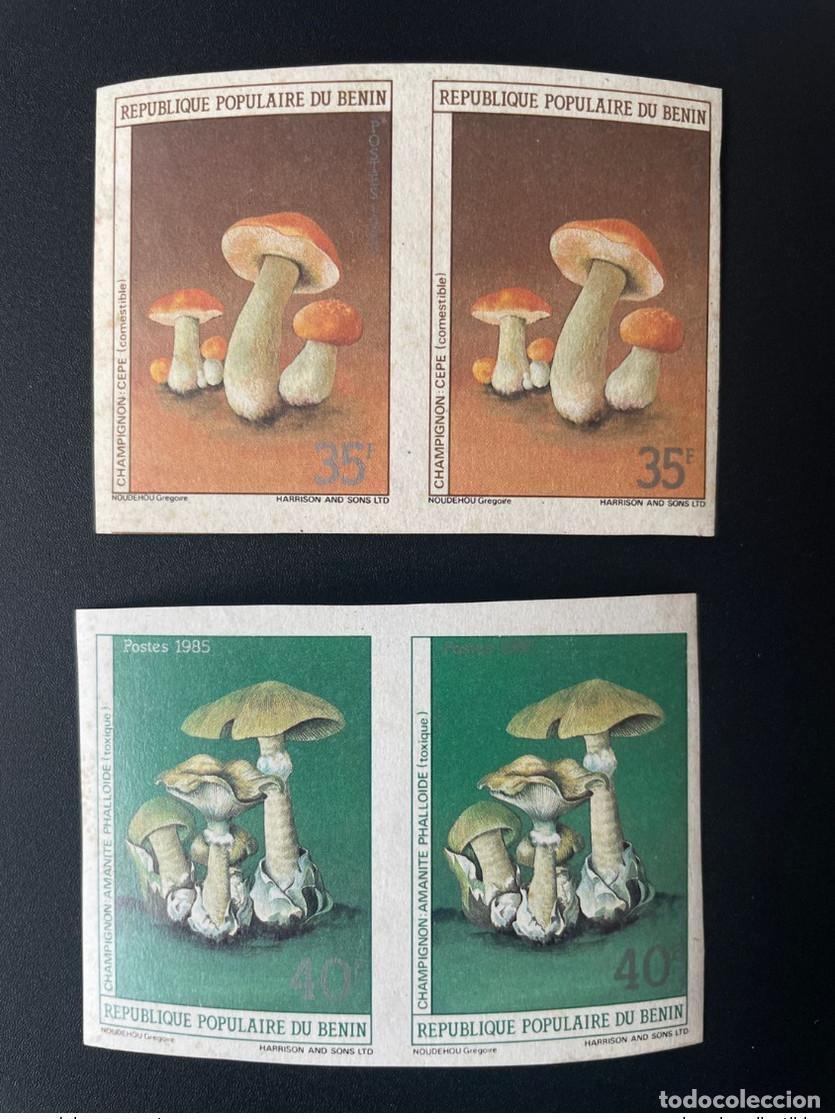 Sellos: Benin 1985 Mi. 477 - 478 IMPERF ND Setas Cepe Funghi Amanita Flora