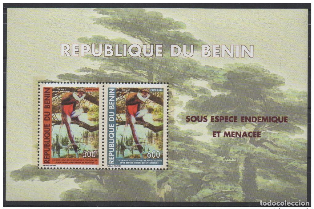 Sellos: Ben&iacute;n 2003 Mi. Bl. 59 Subespecie end&eacute;mica y en peligro de extinci&oacute;n: Mono vientre rojo
