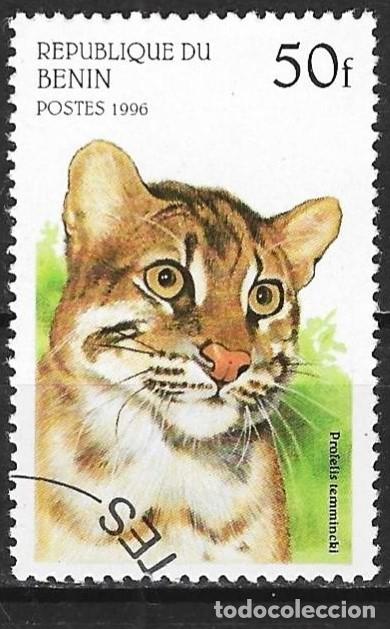 Sellos: Benin 1996 - Mi 807 - YT 710 AQ - Fauna : El gato de Temminck