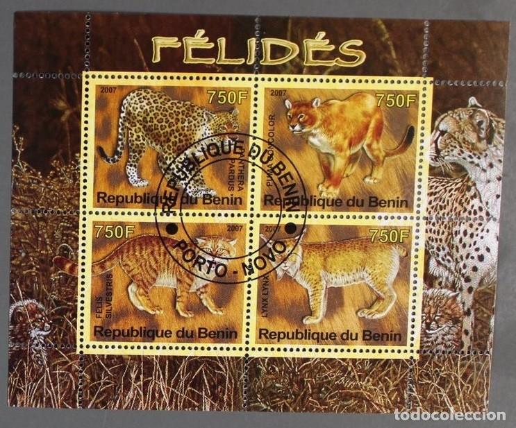 Sellos: BENIN 2007 SHEET USED MNH GATOS CATS PUMAS LEOPARDOS LINCES LYNX FELINOS FELINES WILDCATS WILDLIFE