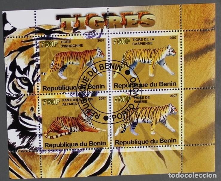 Sellos: BENIN 2007 SHEET USED MNH FAUNA MAMIFEROS TIGERS TIGRES RAUBKATZEN FELINOS FELINES WILD CATS