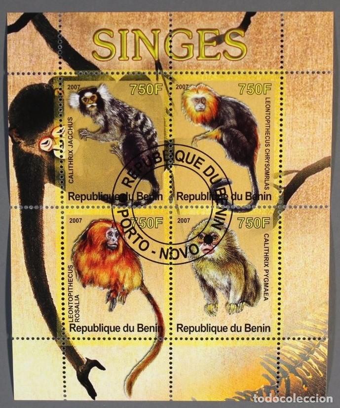 Sellos: BENIN 2007 SHEET USED MNH FAUNA MAMIFEROS PRIMATES MONKEYS MONOS SINGES SCIMMIE AFFEN APES