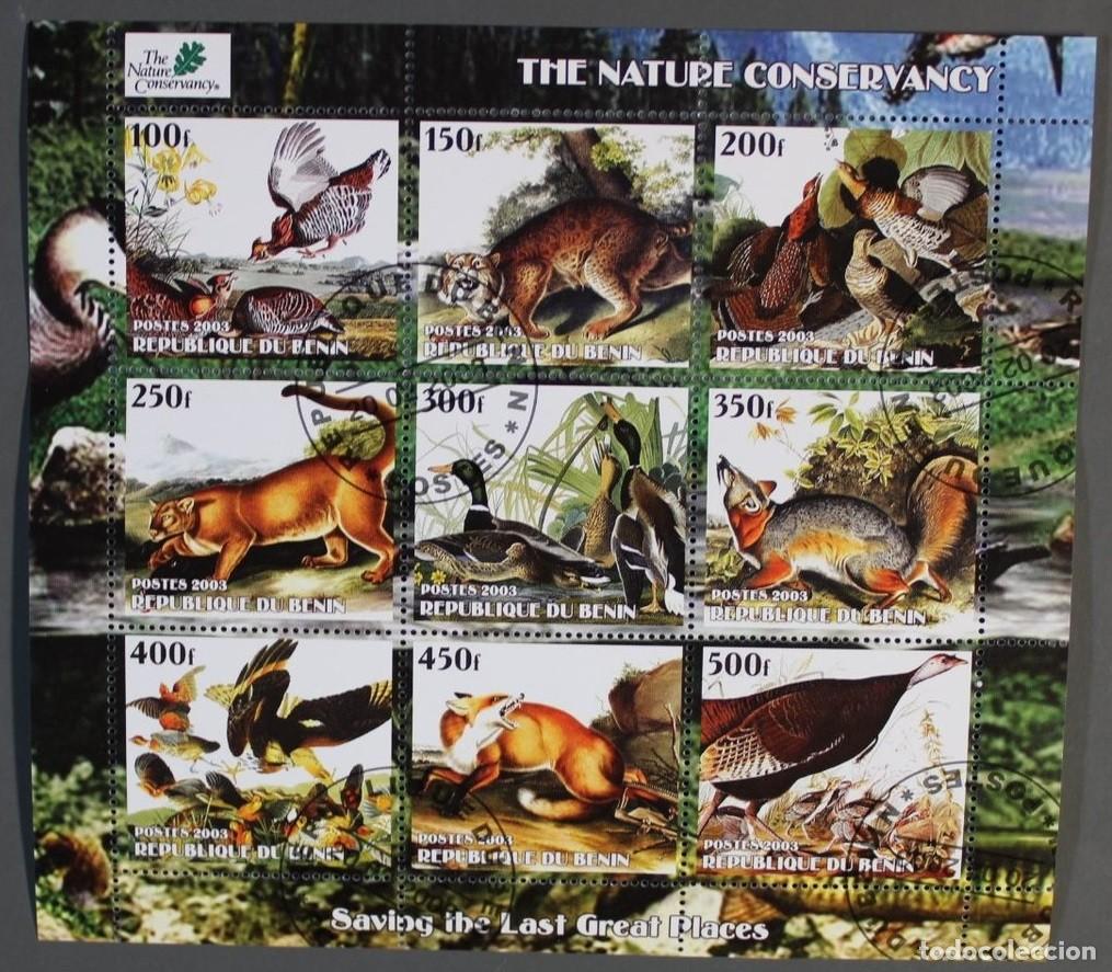 Sellos: BENIN 2003 SHEET USED MNH FAUNA CONSERVACION DE NATURALEZA AVES BIRDS WILD CATS WILD DOGS WILDLIFE