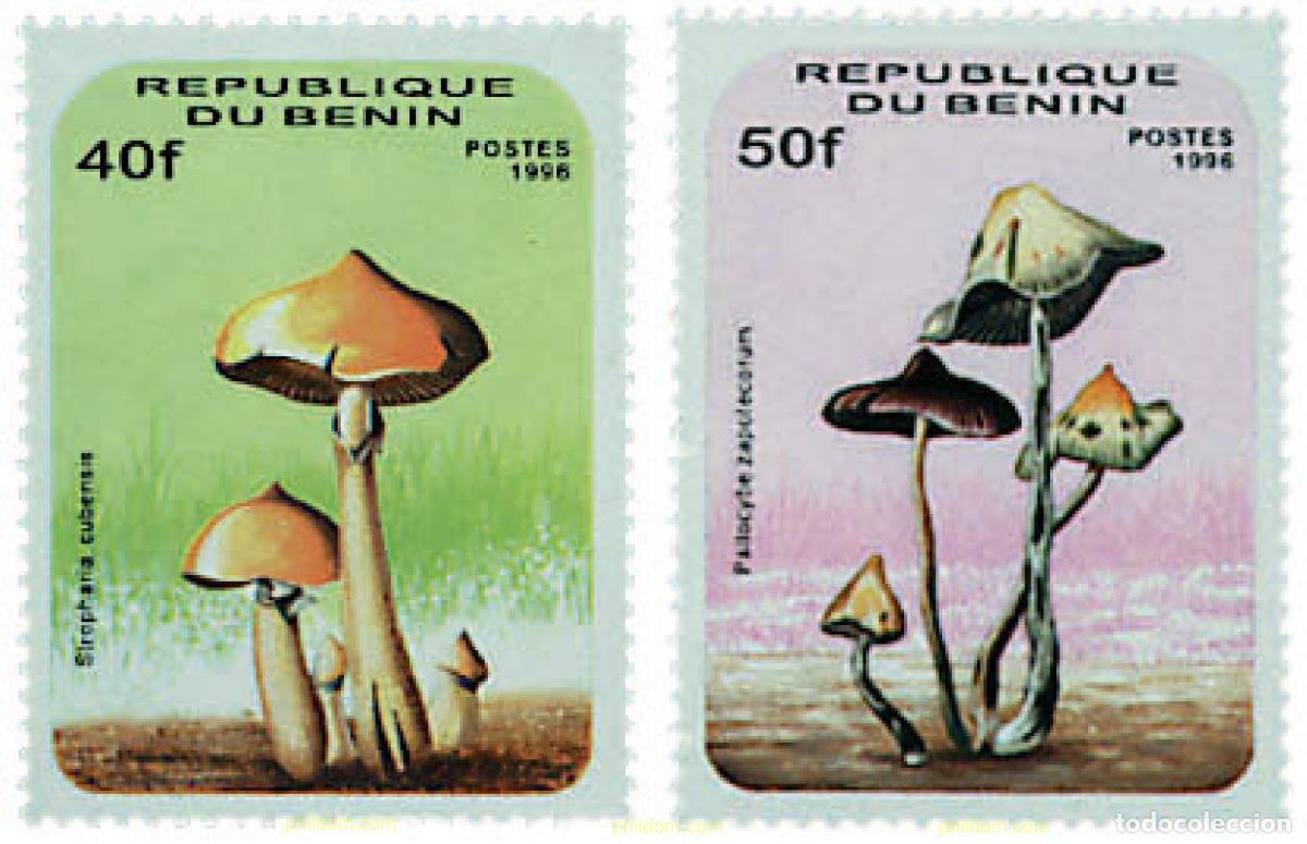 Sellos: 354377 MNH BENIN 1996 SETAS