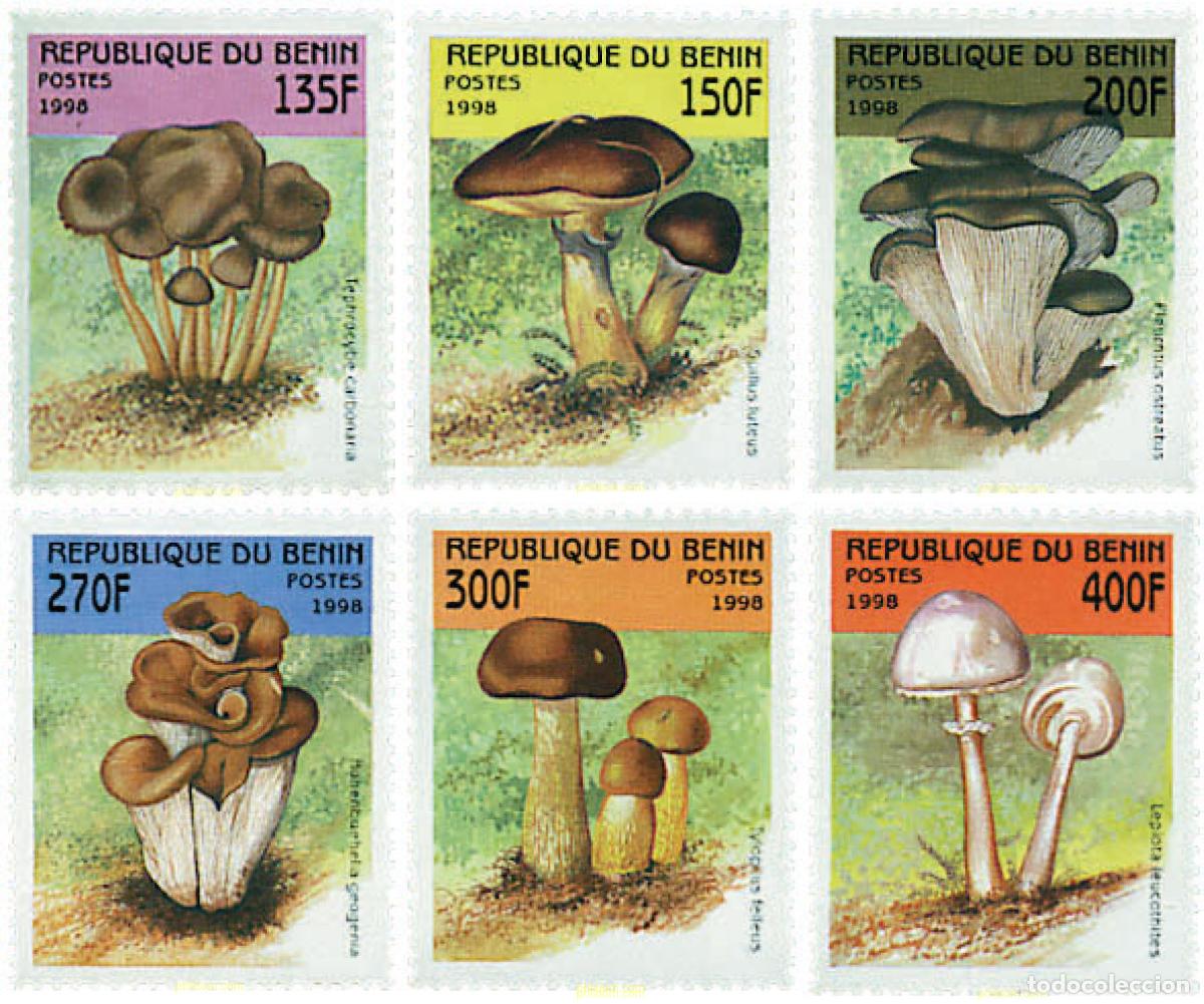 Sellos: 48809 MNH BENIN 1998 SETAS