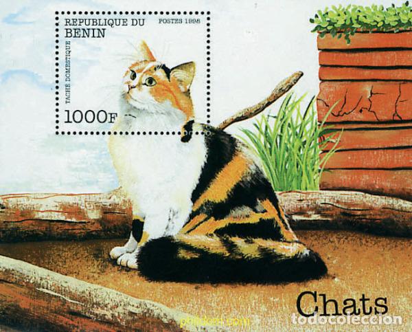 Sellos: 49705 MNH BENIN 1998 GATOS