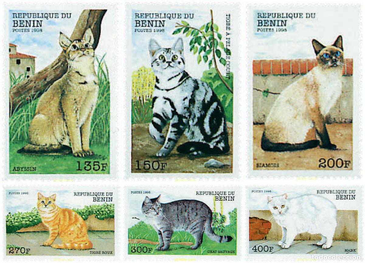 Sellos: 129016 MNH BENIN 1998 GATOS