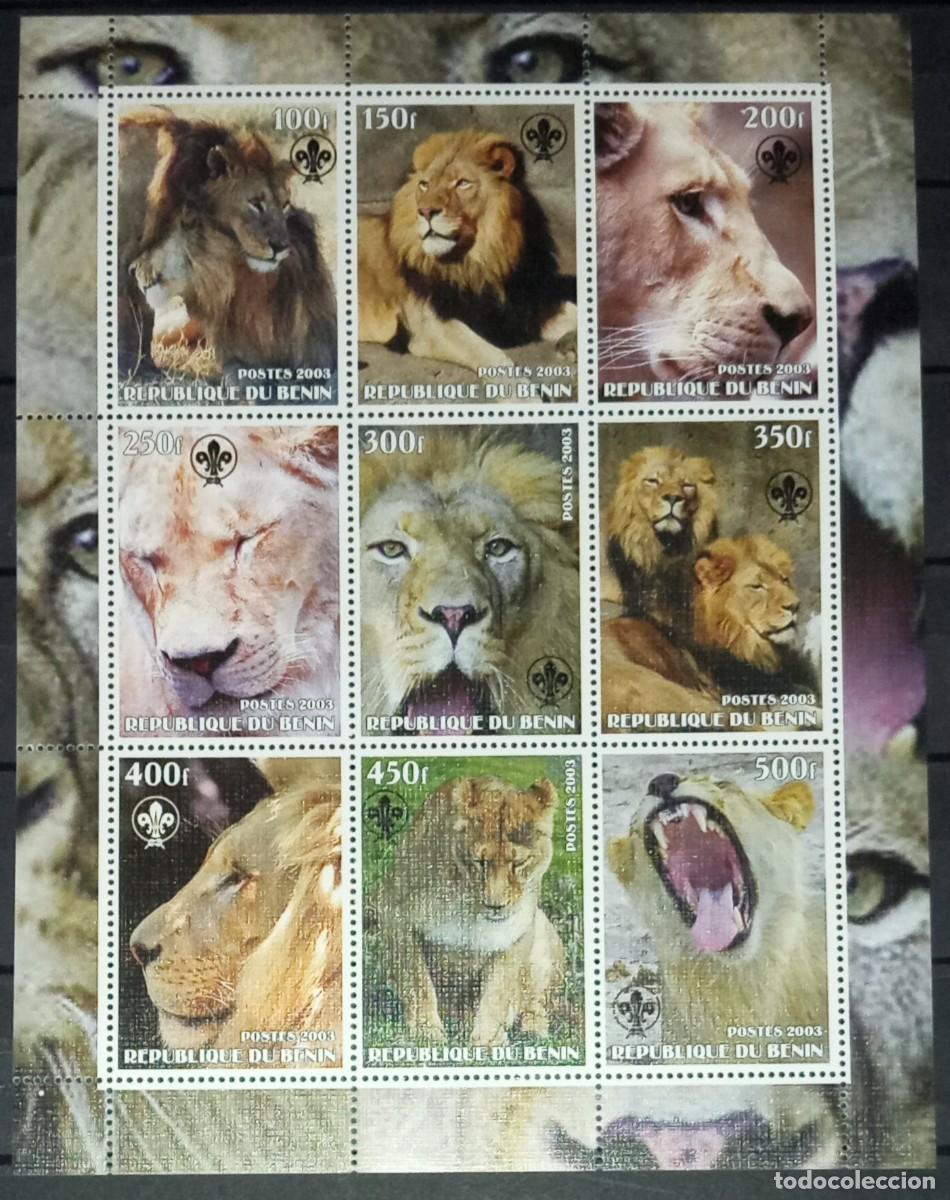 Selos: BENIN 2003 SHEET MNH SCOUT LOGO FAUNA MAMIFEROS LIONS LEONES LEONI LOWEN FELINOS FELINES WILDLIFE