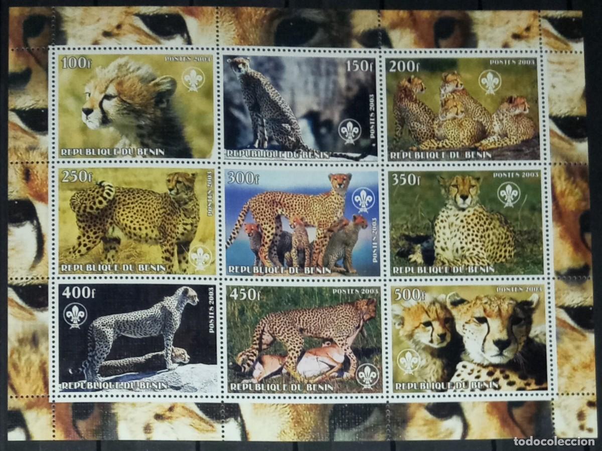 Sellos: BENIN 2003 SHEET MNH SCOUT LOGO FAUNA MAMIFEROS GUEPARDS GUEPARDOS WILD CATS FELINS FELINOS WILDLIFE