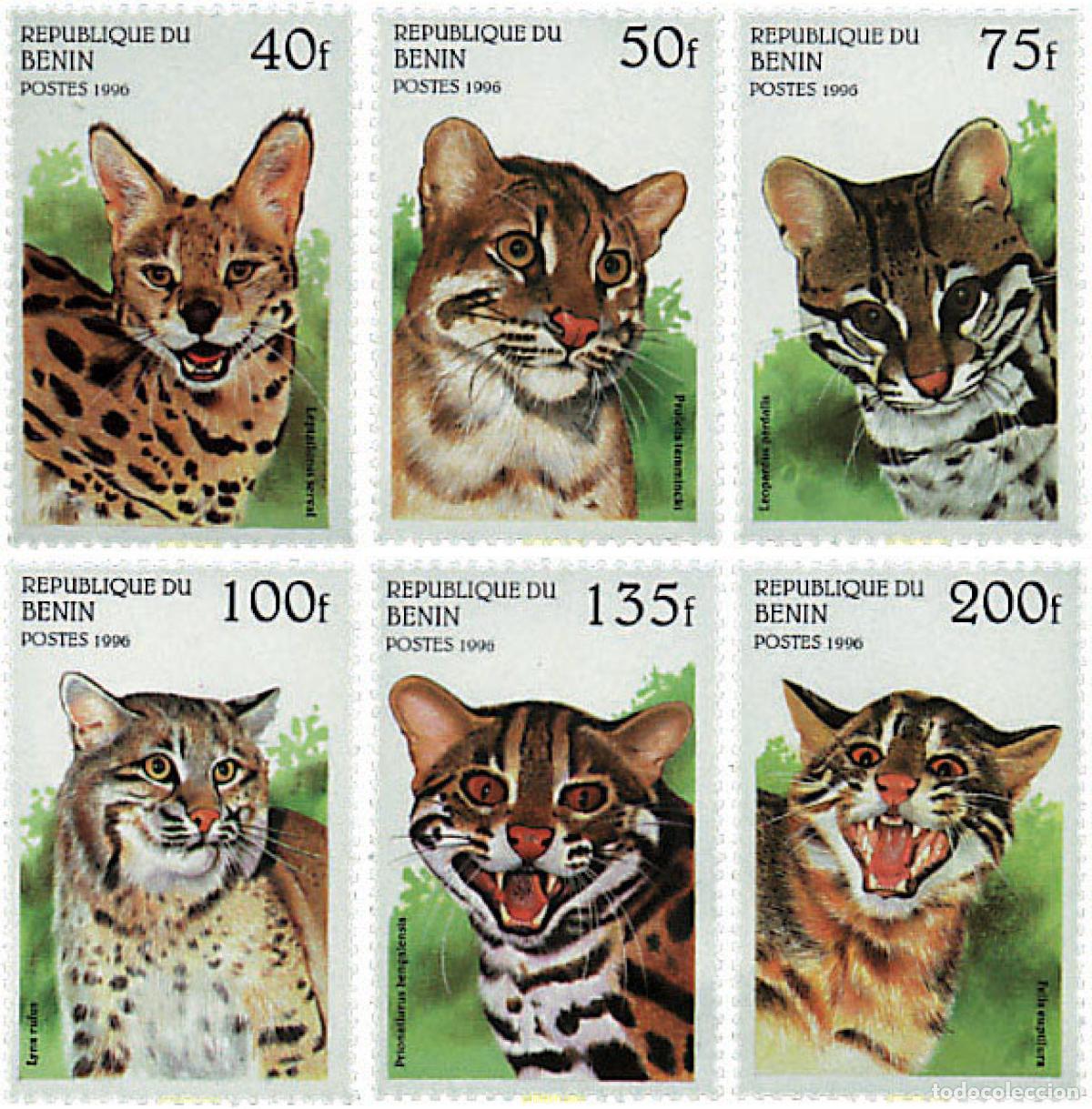 Sellos: 83565 MNH BENIN 1996 GATOS