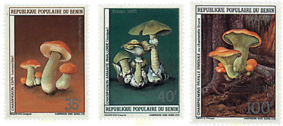 Sellos: 37506 MNH BENIN 1985 SETAS