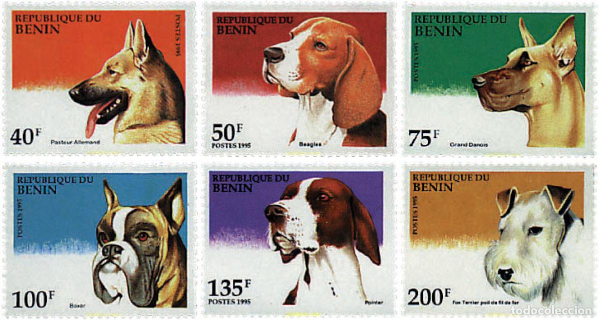 Sellos: 50647 MNH BENIN 1995 PERROS DE RAZA
