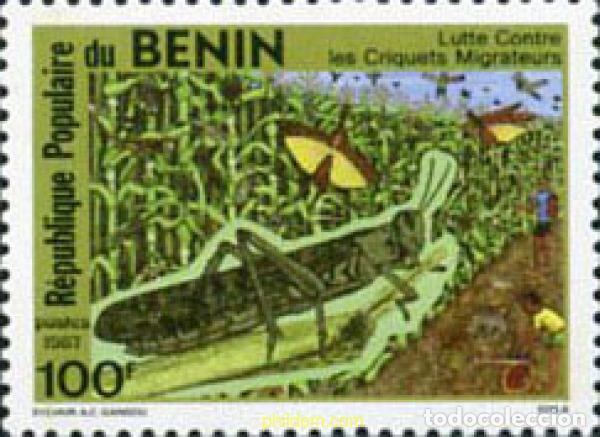 Sellos: 29362 MNH BENIN 1987 INSECTOS