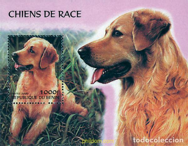 Sellos: 83593 MNH BENIN 2000 PERROS DE RAZA
