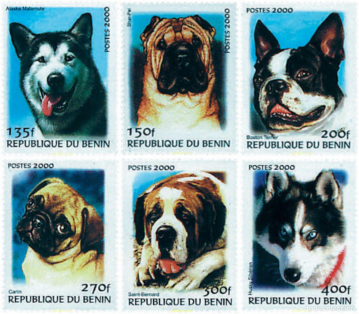 Sellos: 83592 MNH BENIN 2000 PERROS DE RAZA
