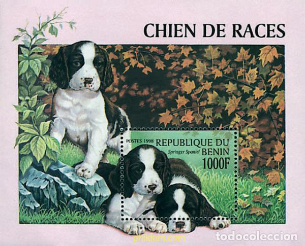 Sellos: 50846 MNH BENIN 1998 CACHORROS