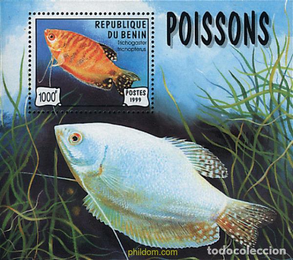 Sellos: 63959 MNH BENIN 1999 PECES DE ACUARIO
