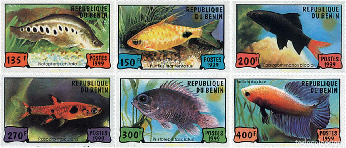 Sellos: 63958 MNH BENIN 1999 PECES DE ACUARIO