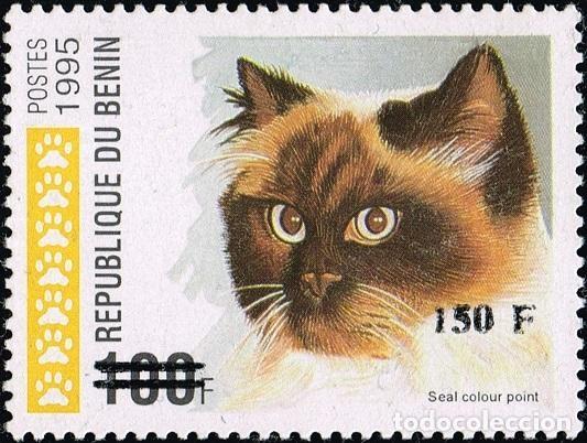 Francobolli: Ben&iacute;n 2000 Mi. 1273 sobrecargado 150F sobre 100F gato Seal Colour Point