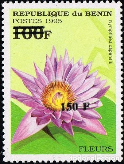 Sellos: Ben&iacute;n 2000 Mi. 1276 sobrecargado Nymphaea capensis flor nen&uacute;far flora