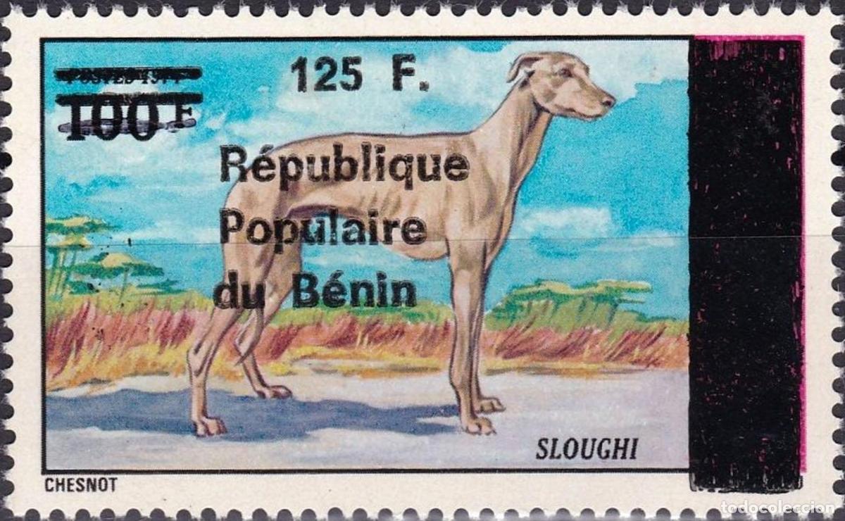 Sellos: Ben&iacute;n 1988 Mi. D473 sobrecargado Sloughi perro galgo fauna animales