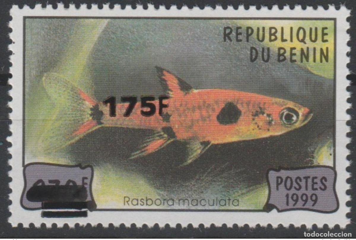 Sellos: Benin 2005 Mi. 1389 Rasbora Maculata Fish Marine Wildlife sobrecargado MNH**