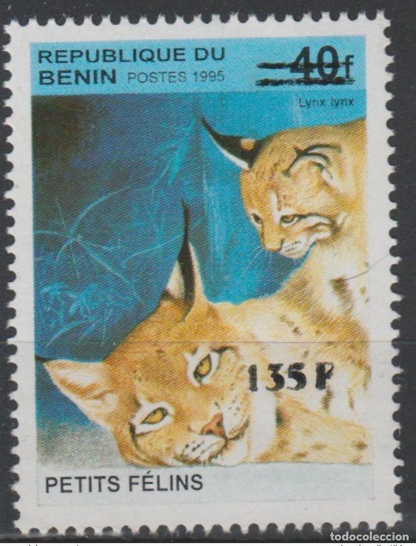 Sellos: Ben&iacute;n 2000 Mi. 1237 Peque&ntilde;os felinos Lynx Wildkatze fauna sobrecargada MNH