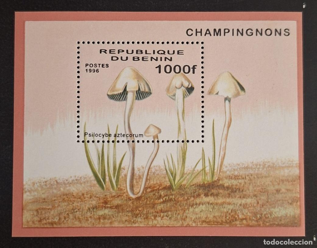 Stamps: Ben&iacute;n 1996 Mi. Bl. 22 Hongos Psilocybe aztecorum micolog&iacute;a