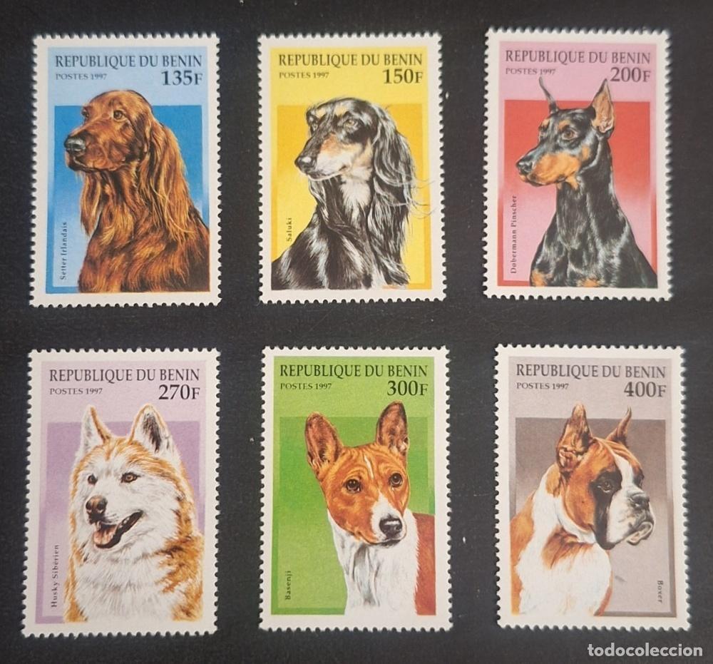 Stamps: Ben&iacute;n 1997 Mi. 936-941 Perros Setter Saluki Dobermann Husky Basenji Boxer