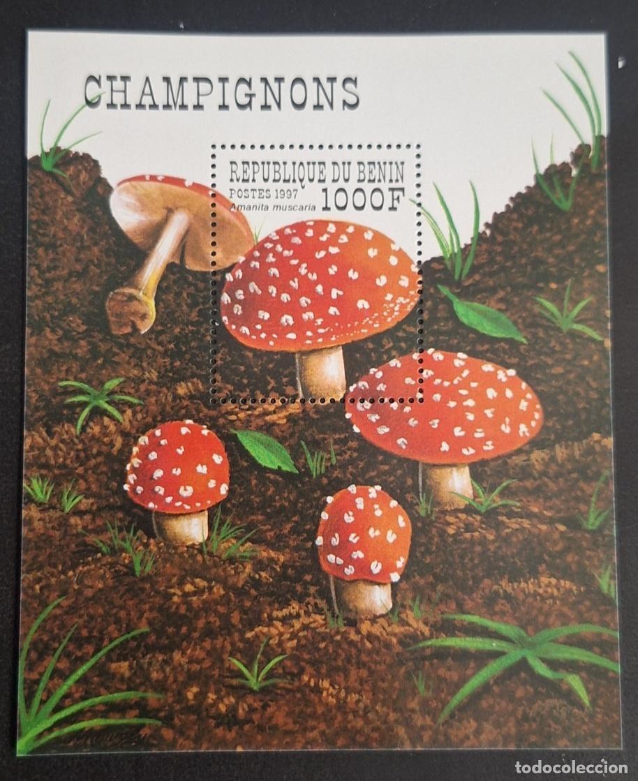 Sellos: Ben&iacute;n 1997 Mi. Bl. 35 Setas Amanita muscaria