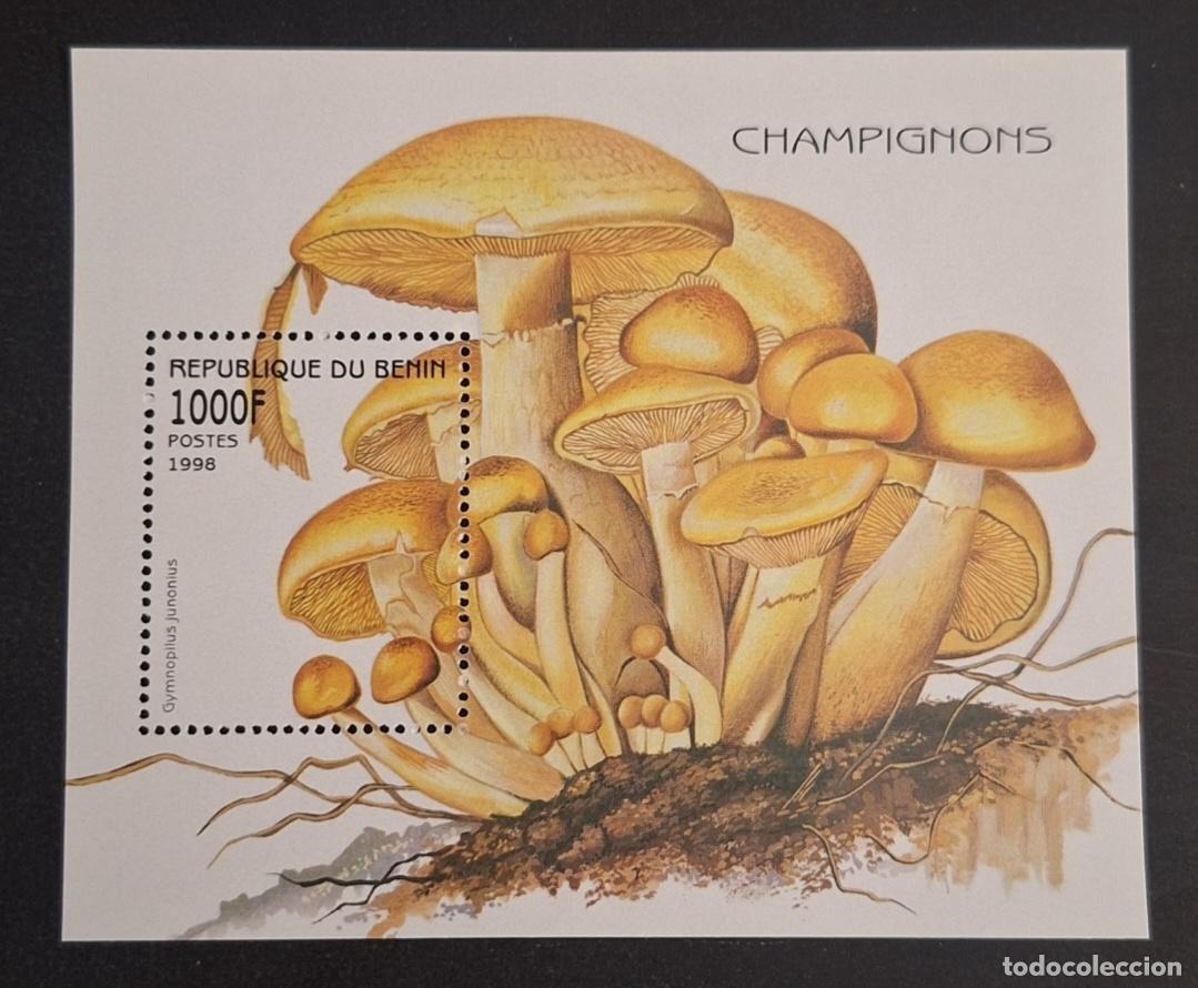 Sellos: Ben&iacute;n 1998 Mi. Bl. 37 hongos Gymnopilus junonius micolog&iacute;a flora