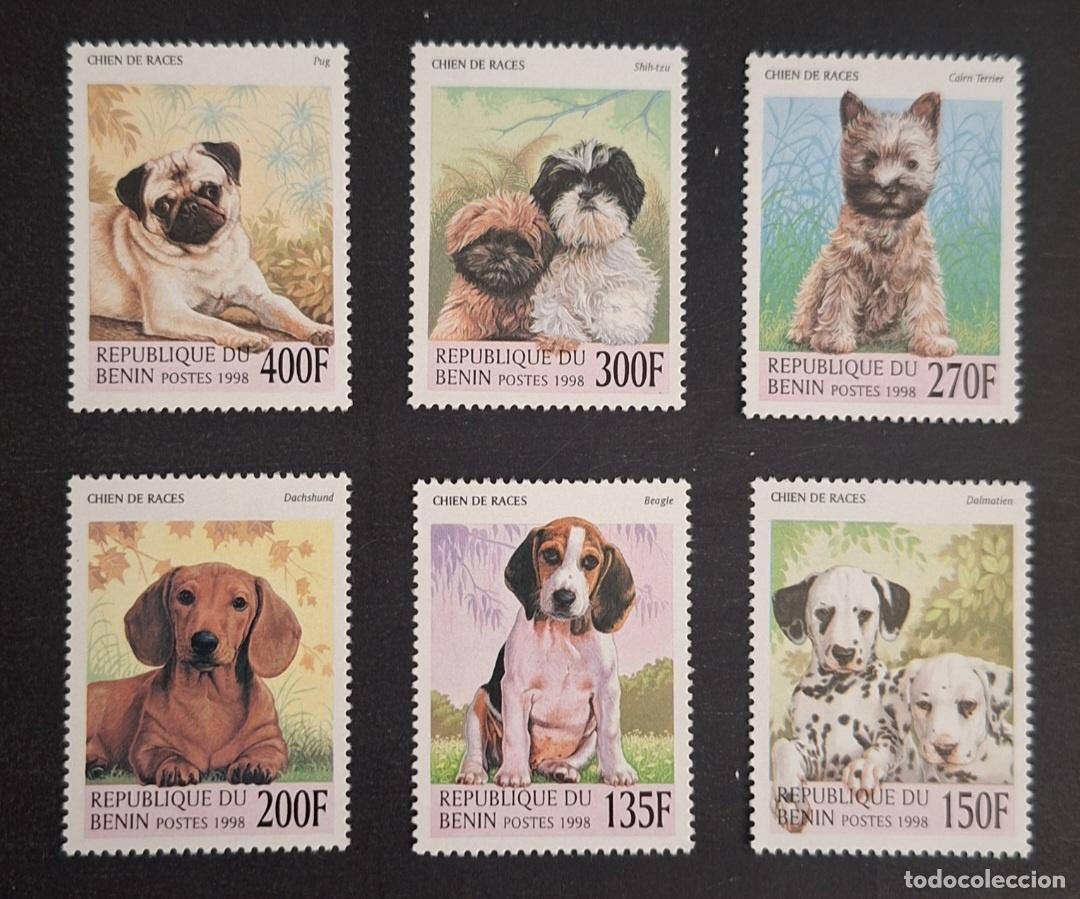 Sellos: Ben&iacute;n 1998 Mi. 1049-1054 perros Beagle D&aacute;lmata Teckel Carlino
