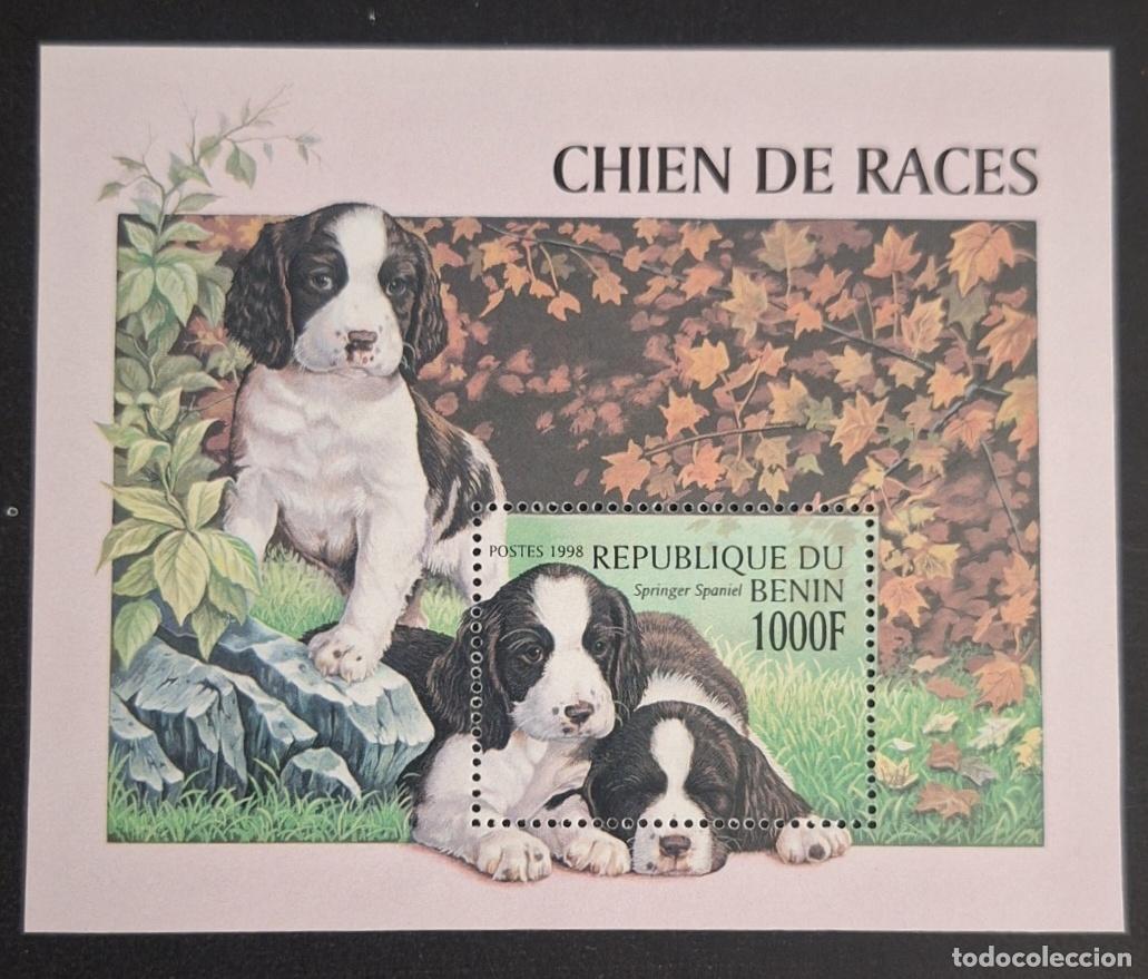 Sellos: Ben&iacute;n 1998 Mi. Bl. 41 perros de raza Springer Spaniel cachorros
