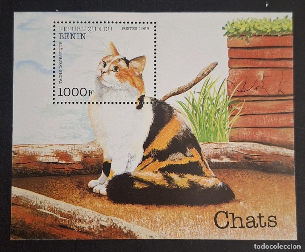 Sellos: Ben&iacute;n 1998 Mi. Bl. 42 gatos gato calico manchado dom&eacute;stico felino