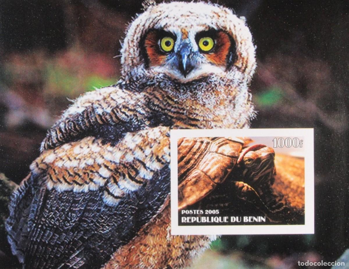 Sellos: BENIN 2005 SHEET MNH IMPERF AVES BIRDS BUHOS OWLS HIBOUX EULEN TORTUGAS TURTLES TORTUES SCHILDKROTEN